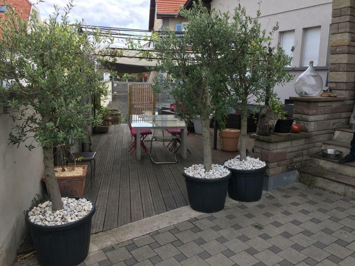 La Terrasse Selestadienne ซิลิสตาต์ ภายนอก รูปภาพ